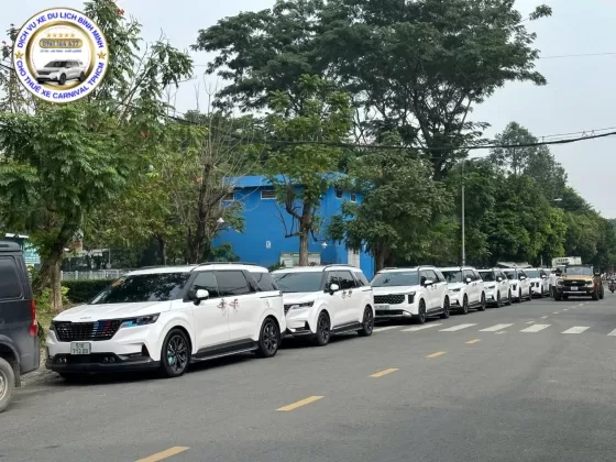 Dịch Vụ Thuê Xe 8 Chỗ Carnival Có Tài Xế